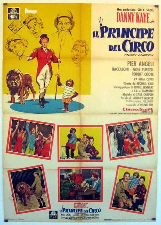 Poster di Il principe del circo