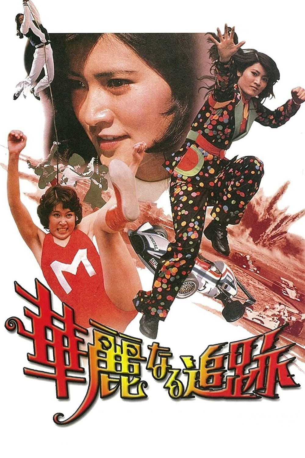 Poster di 華麗なる追跡