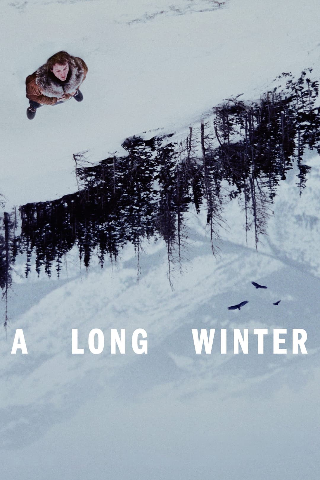Poster di A Long Winter