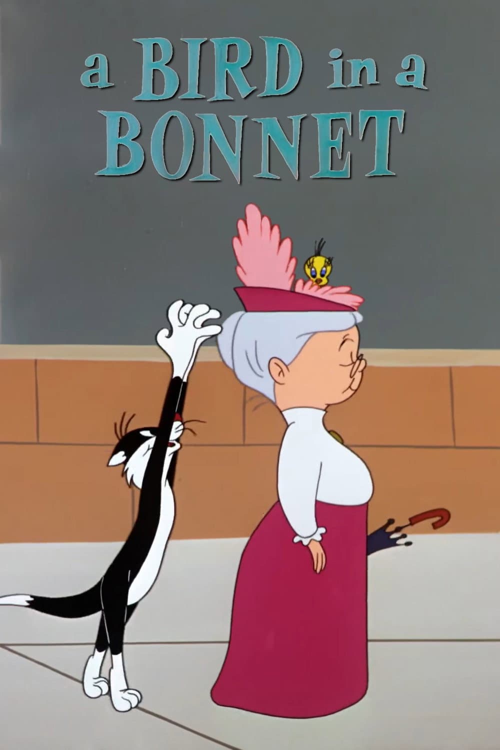 Poster di Un canarino nel cappellino
