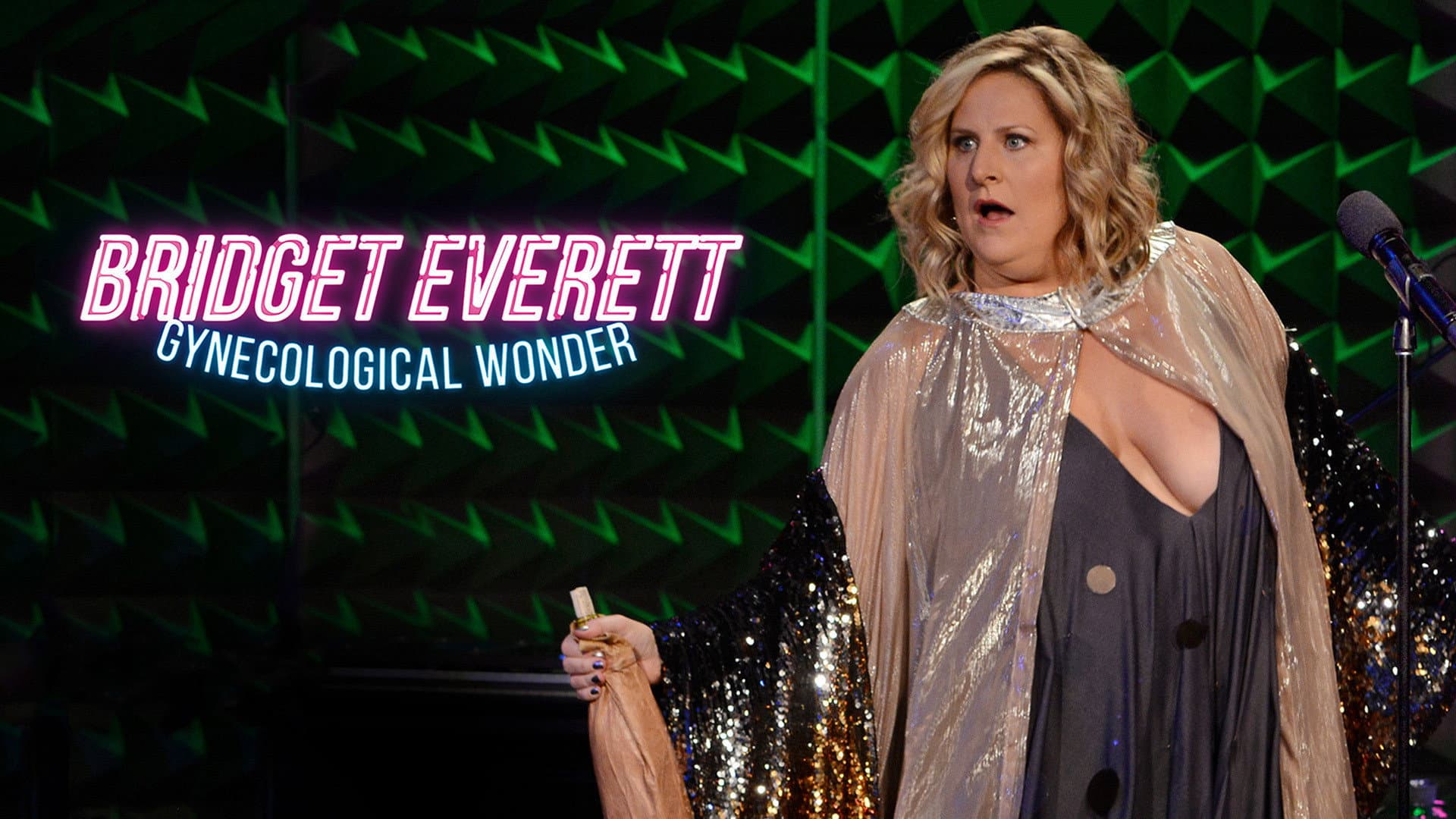 Bridget Everett: Gynecological Wonder - immagine