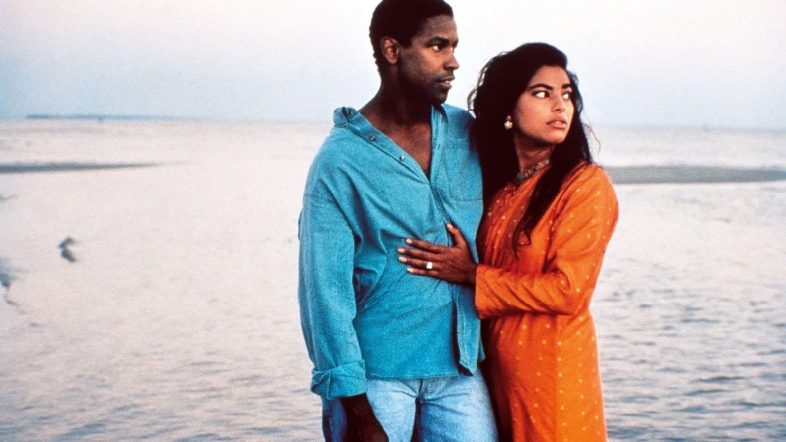 Mississippi Masala - immagine
