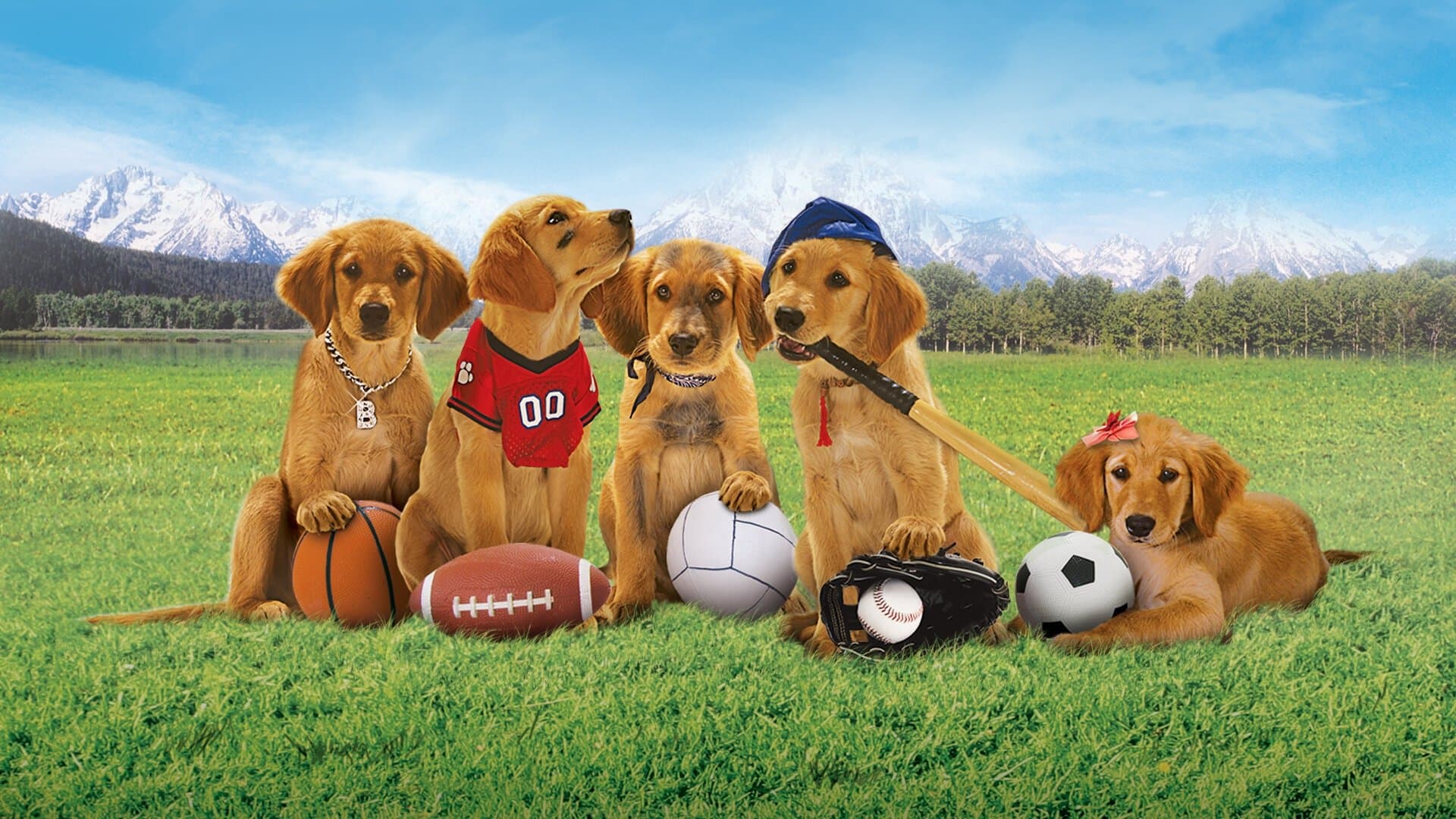 Air Buddies - Cuccioli alla riscossa - immagine