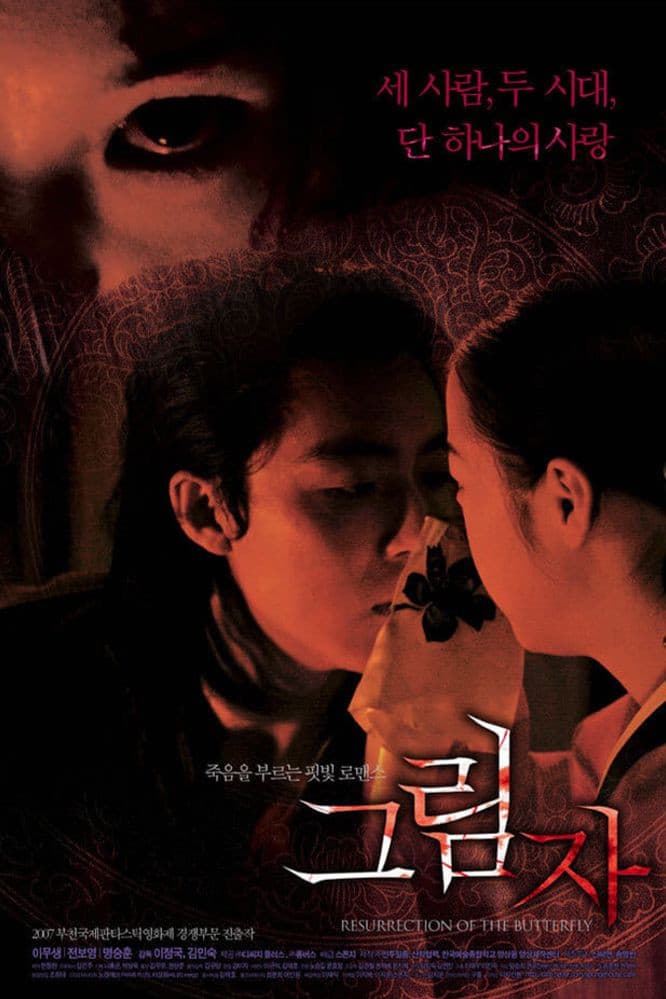 Poster di 그림자