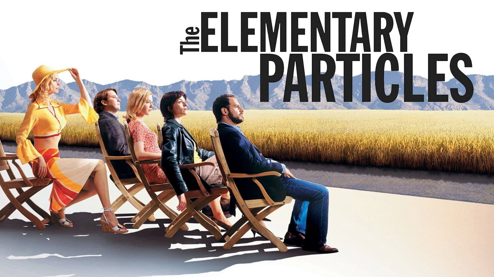 Le particelle elementari - immagine