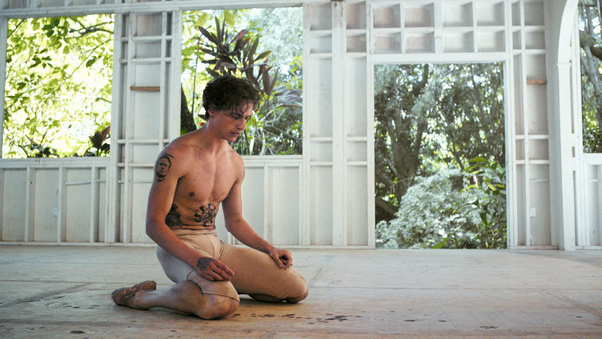 Dancer - immagine
