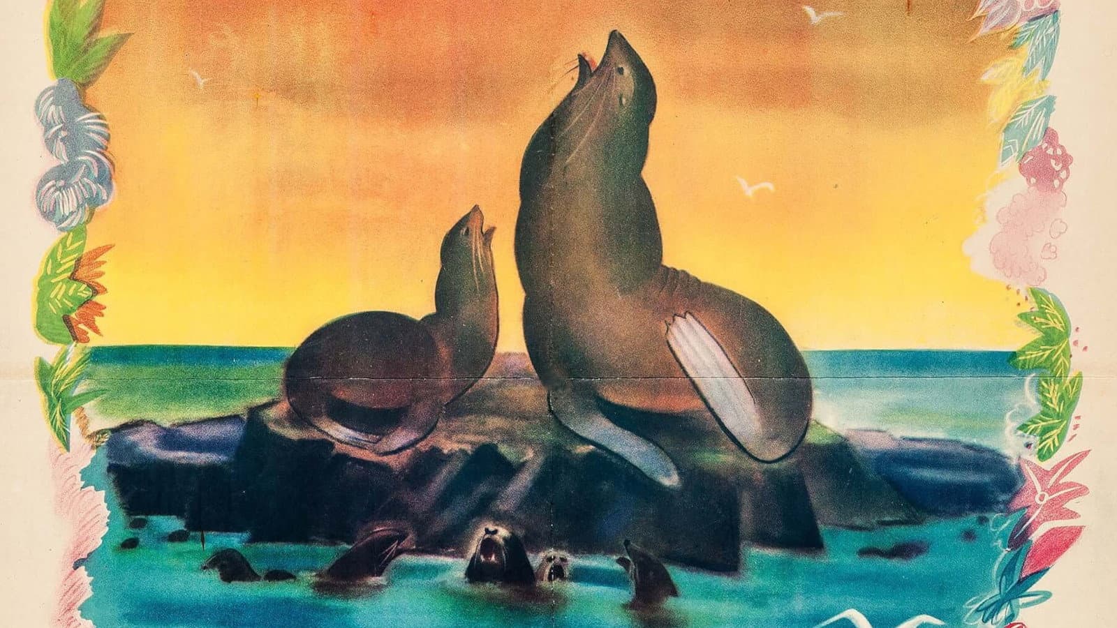 L'isola delle foche - immagine