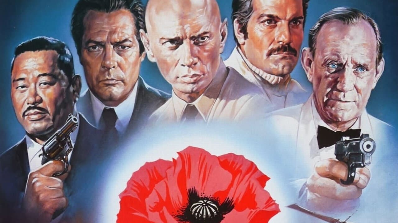 Il papavero è anche un fiore - immagine