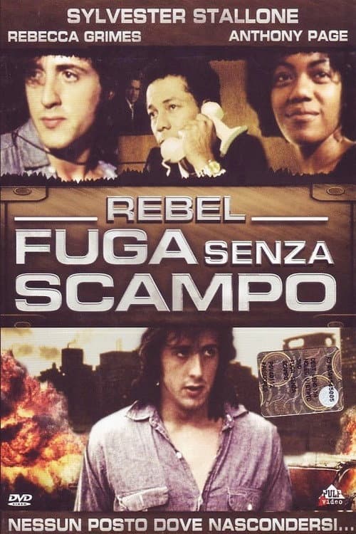 Poster di Rebel - Fuga Senza Scampo