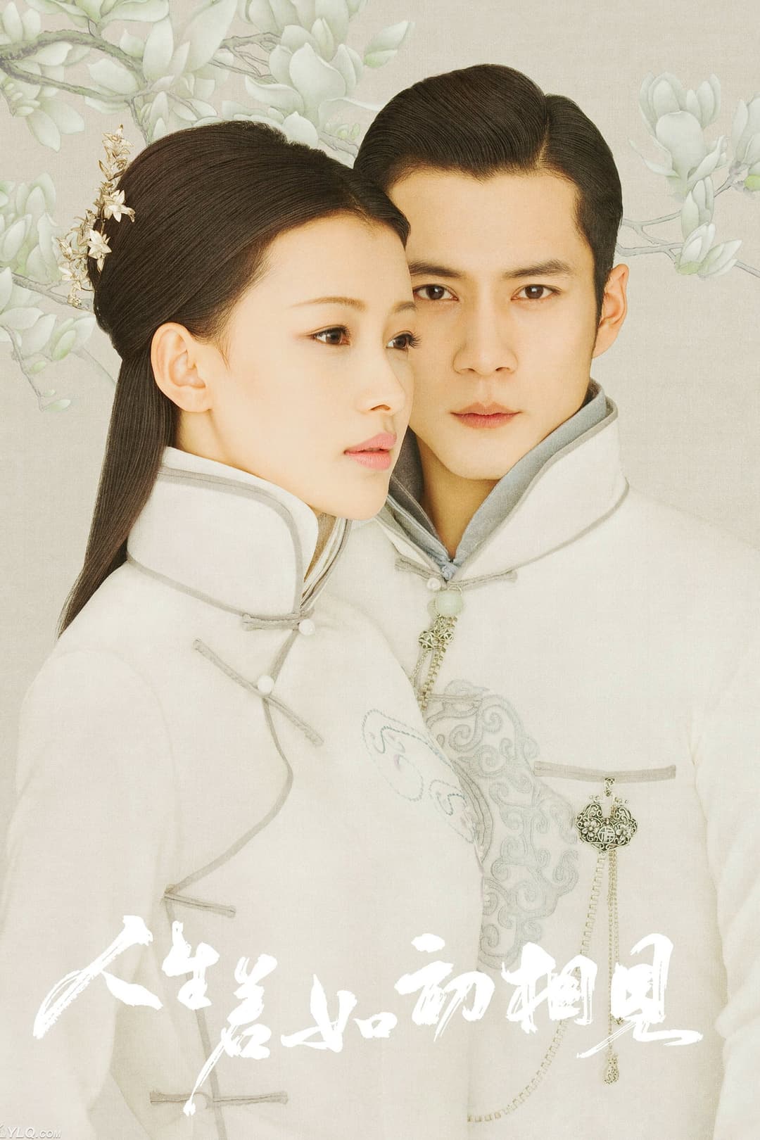 Poster di 人生若如初相见