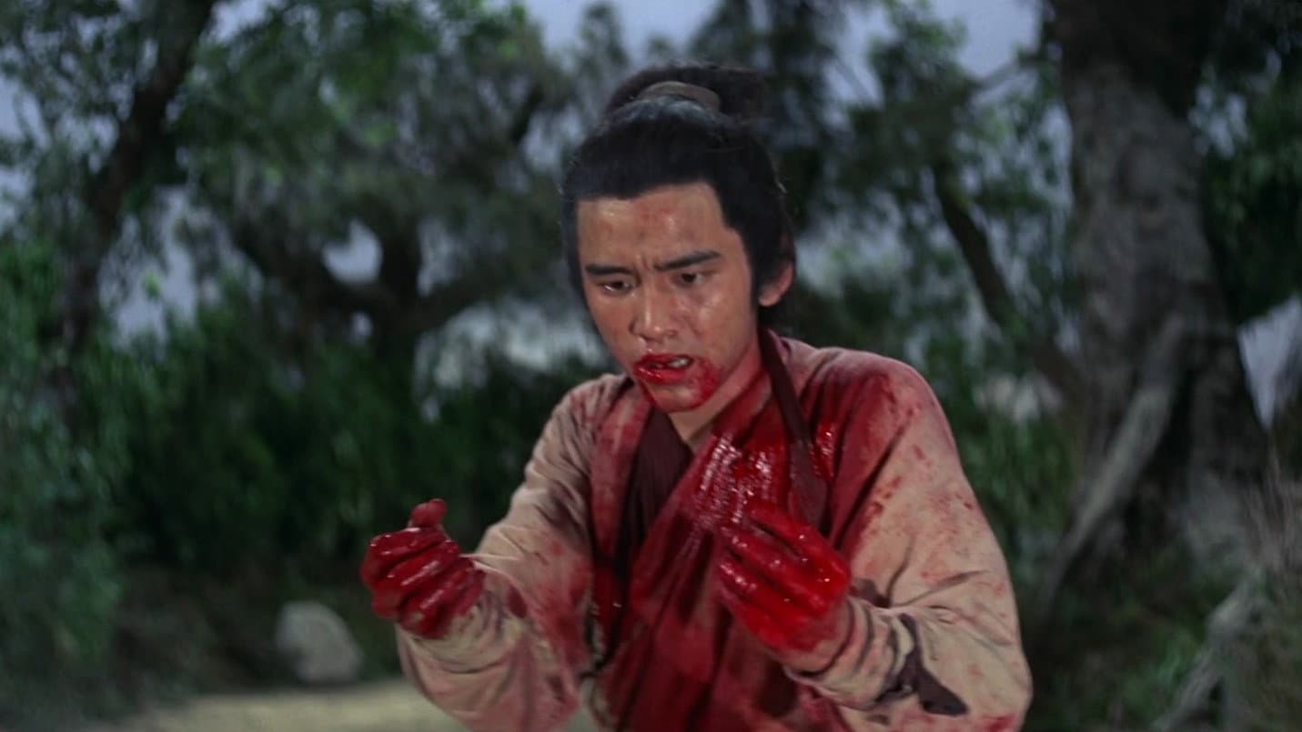 The Wandering Swordsman - immagine