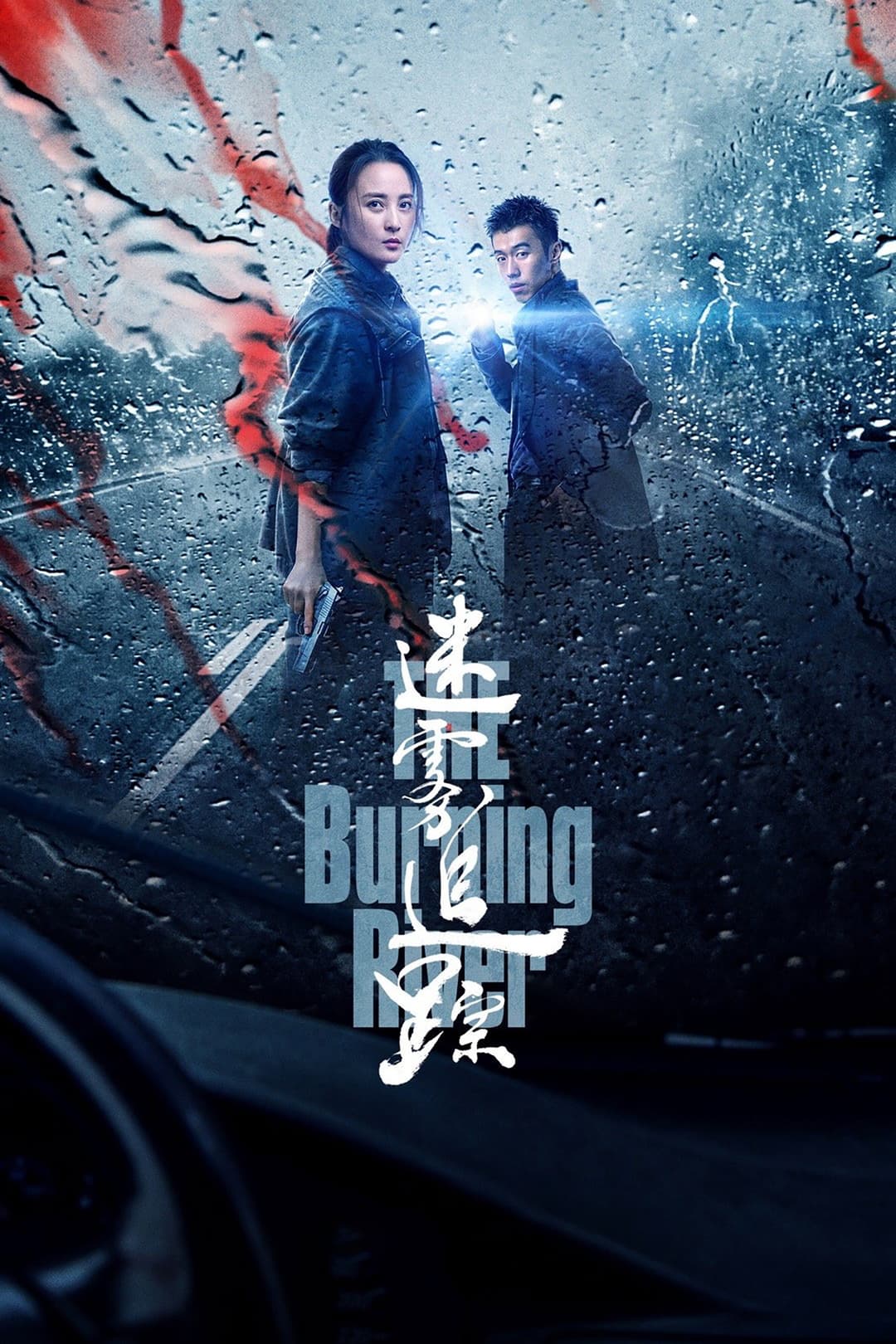Poster di 迷雾追踪