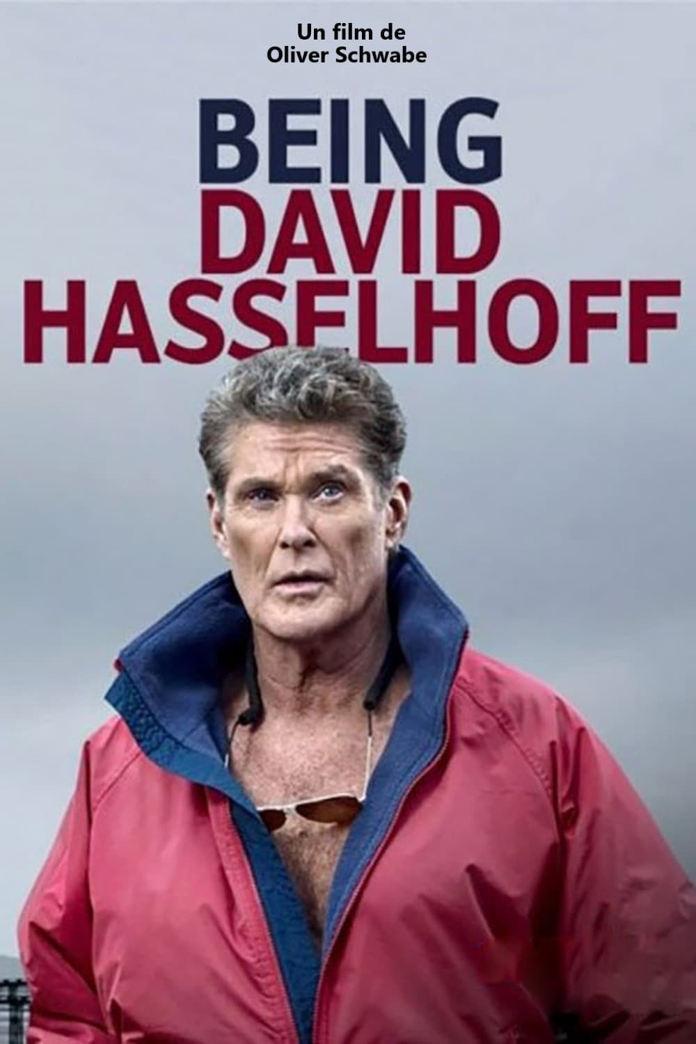 Poster di Being David Hasselhoff