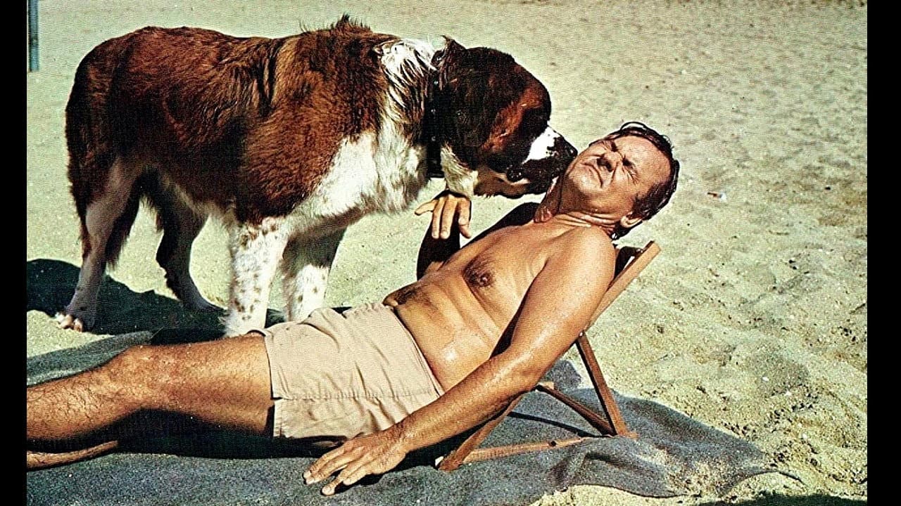 Dai papà... sei una forza! - immagine