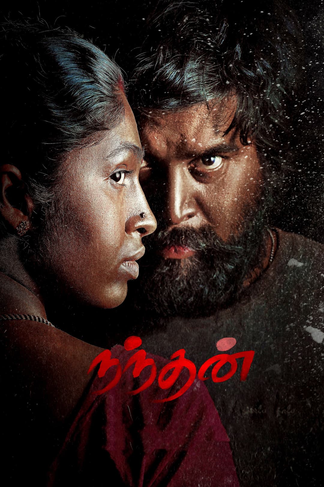 Poster di நந்தன்