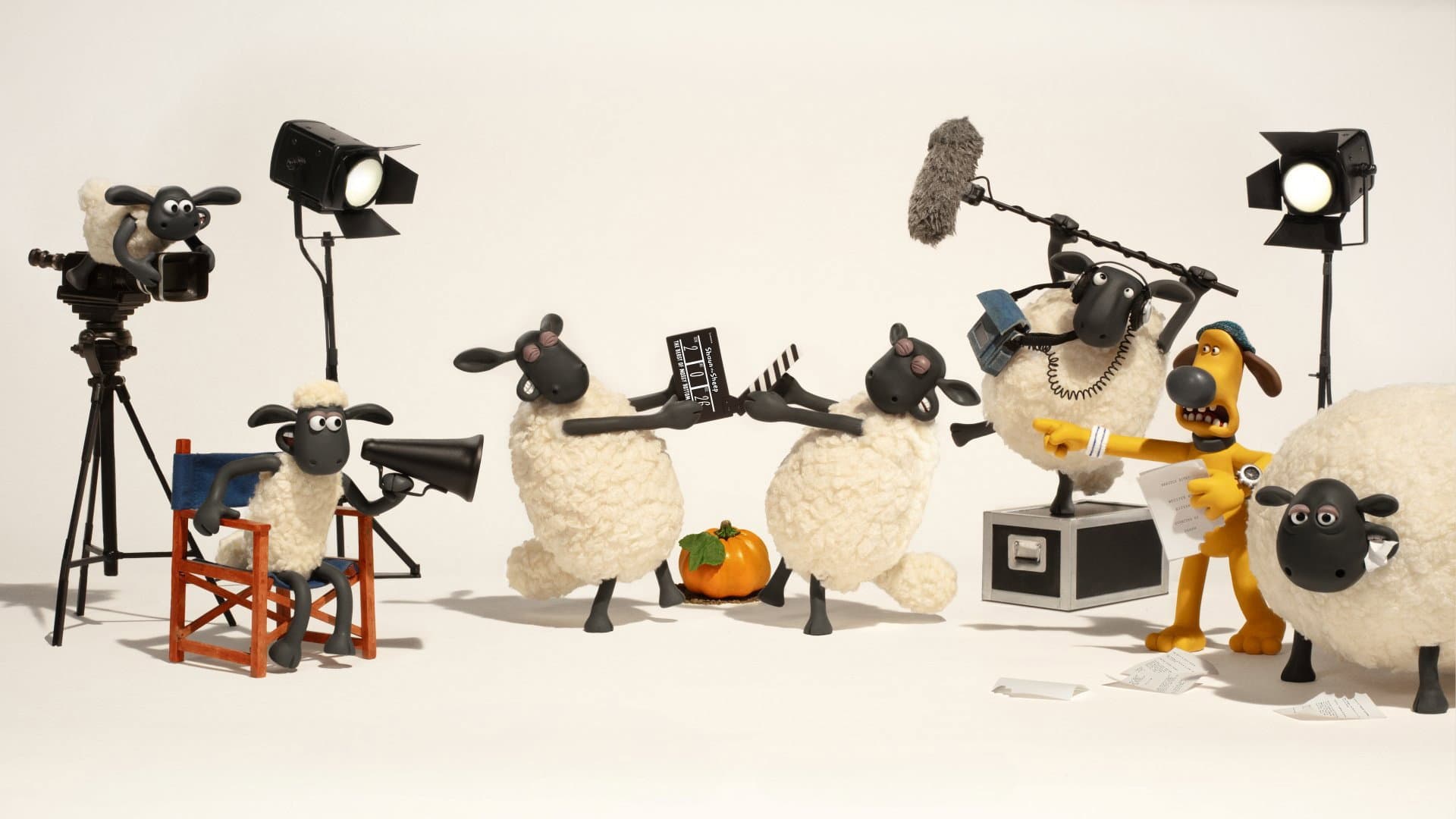 Shaun, vita da pecora - Operazione Z.U.C.C.A. - immagine