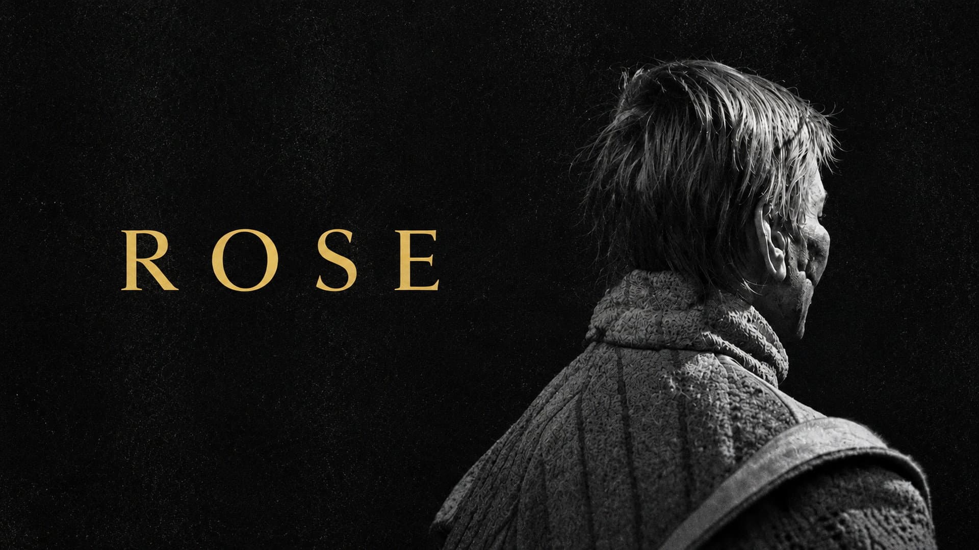 Rose - immagine
