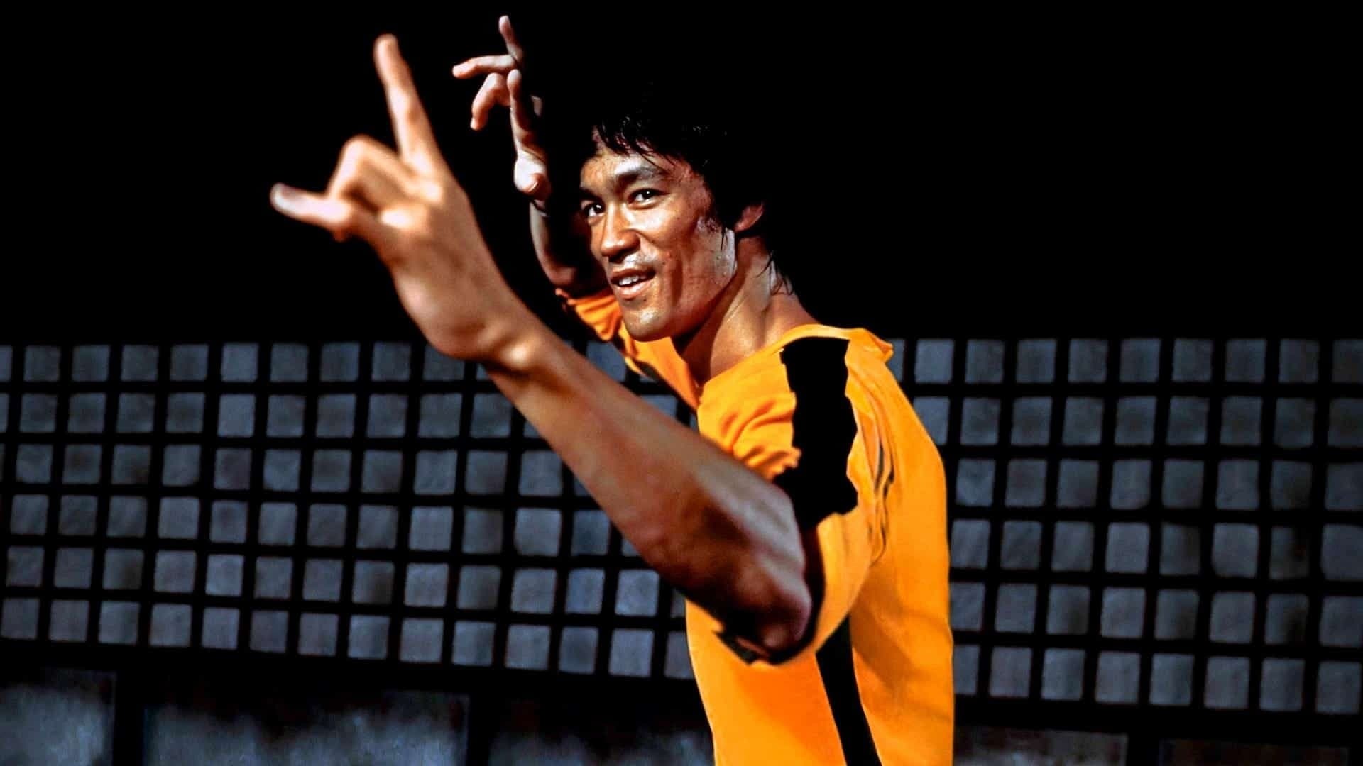 Pugni d'acciaio e calci kung fu - immagine