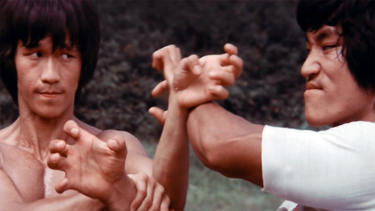 Bruce Lee - Il volto della vendetta - immagine