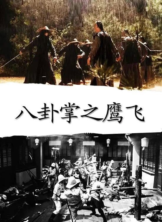 Poster di 八卦掌之鹰飞