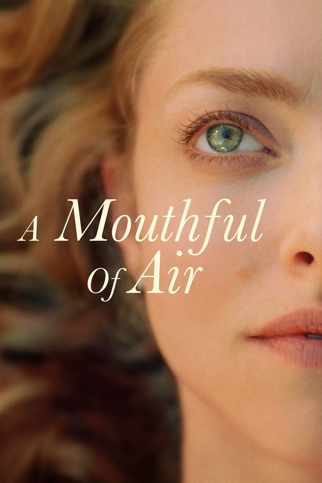 Poster di A Mouthful of Air