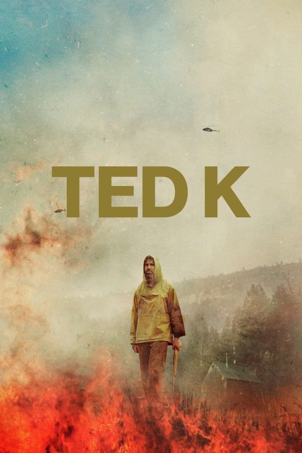 Poster di Ted K