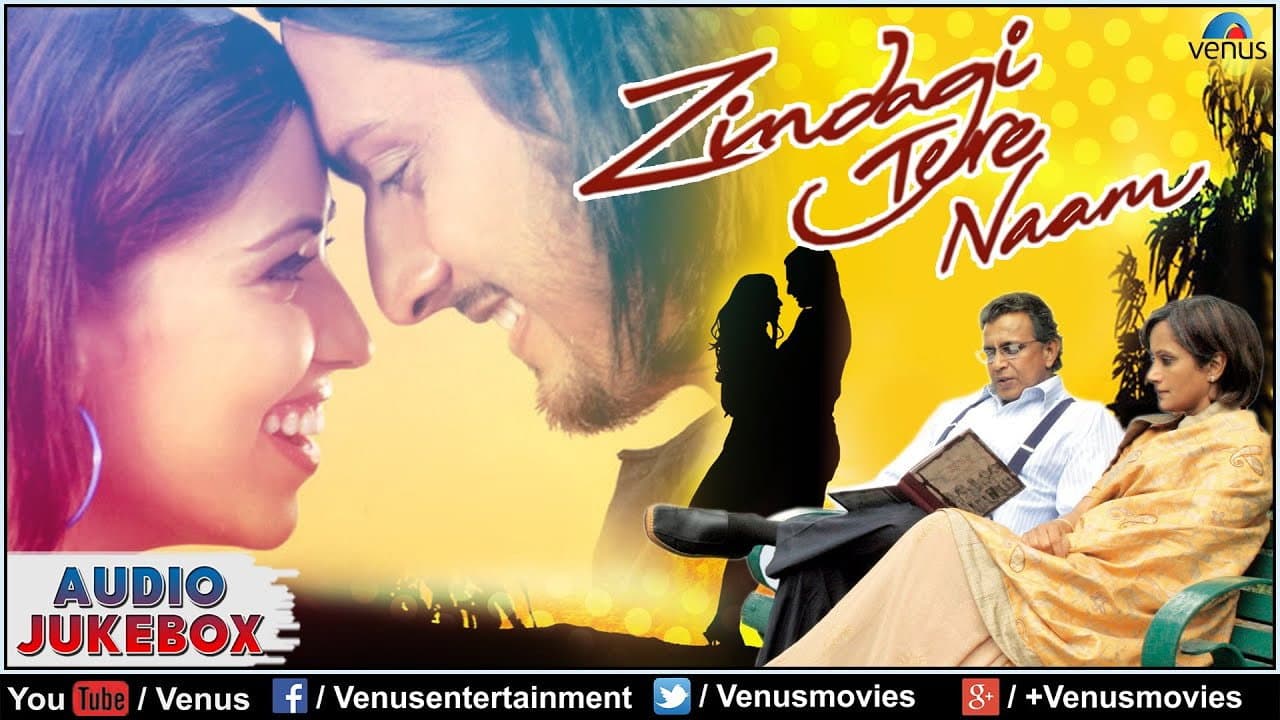Zindagi Tere Naam - immagine