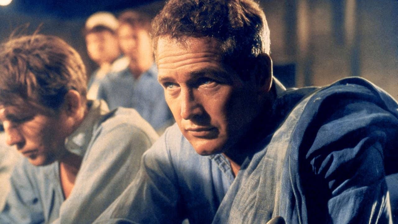 Paul Newman, l'intranquille - immagine
