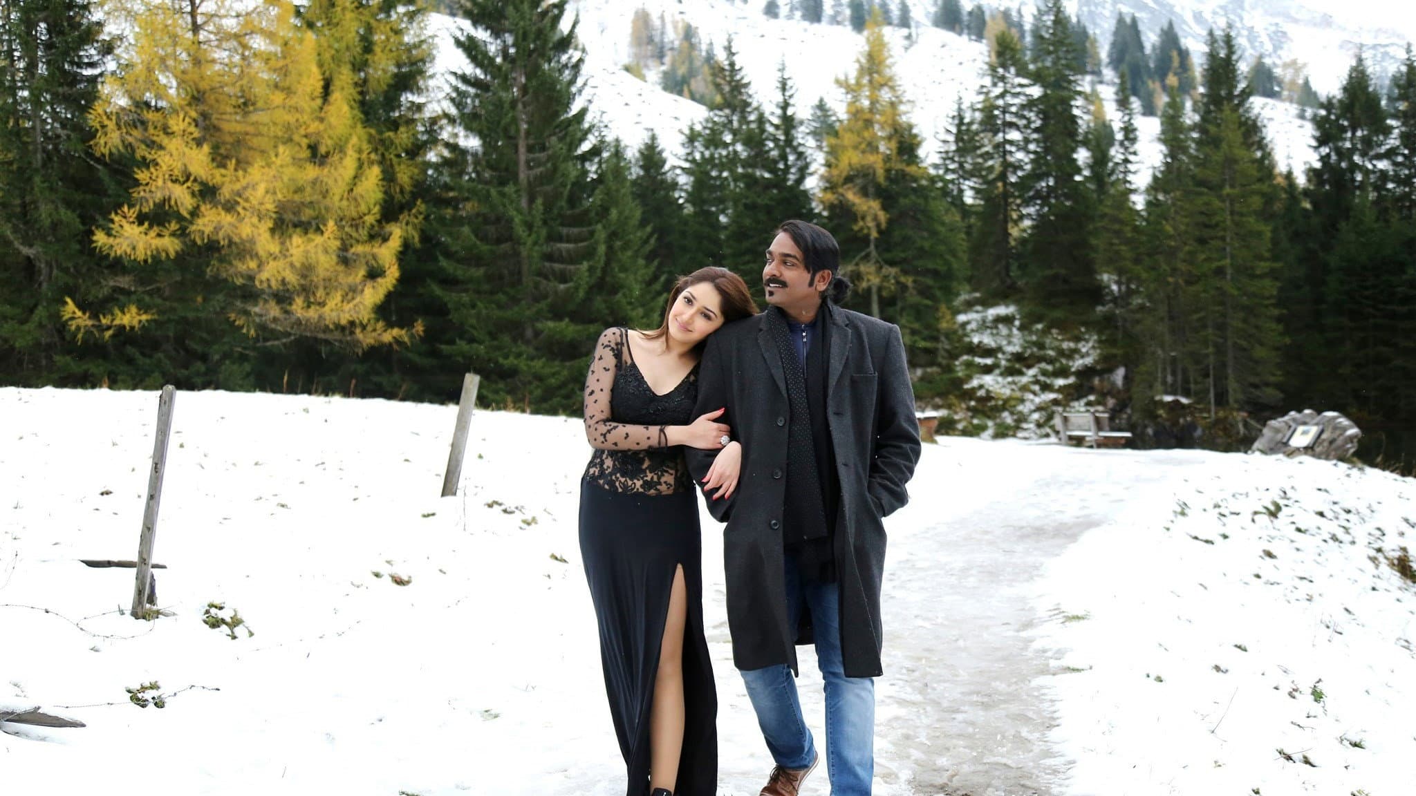 ஜுங்கா - immagine