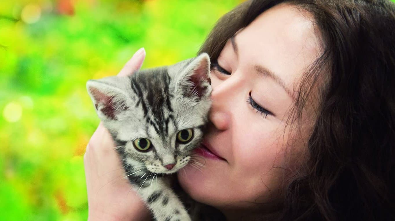 グーグーだって猫である - immagine