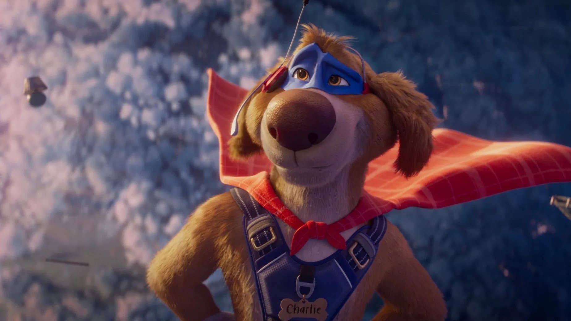 Wonderdog - immagine