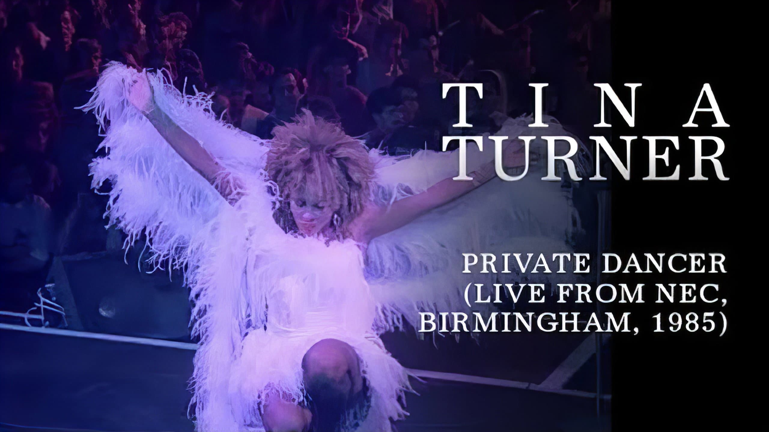 Tina Turner: Private Dancer Tour - immagine