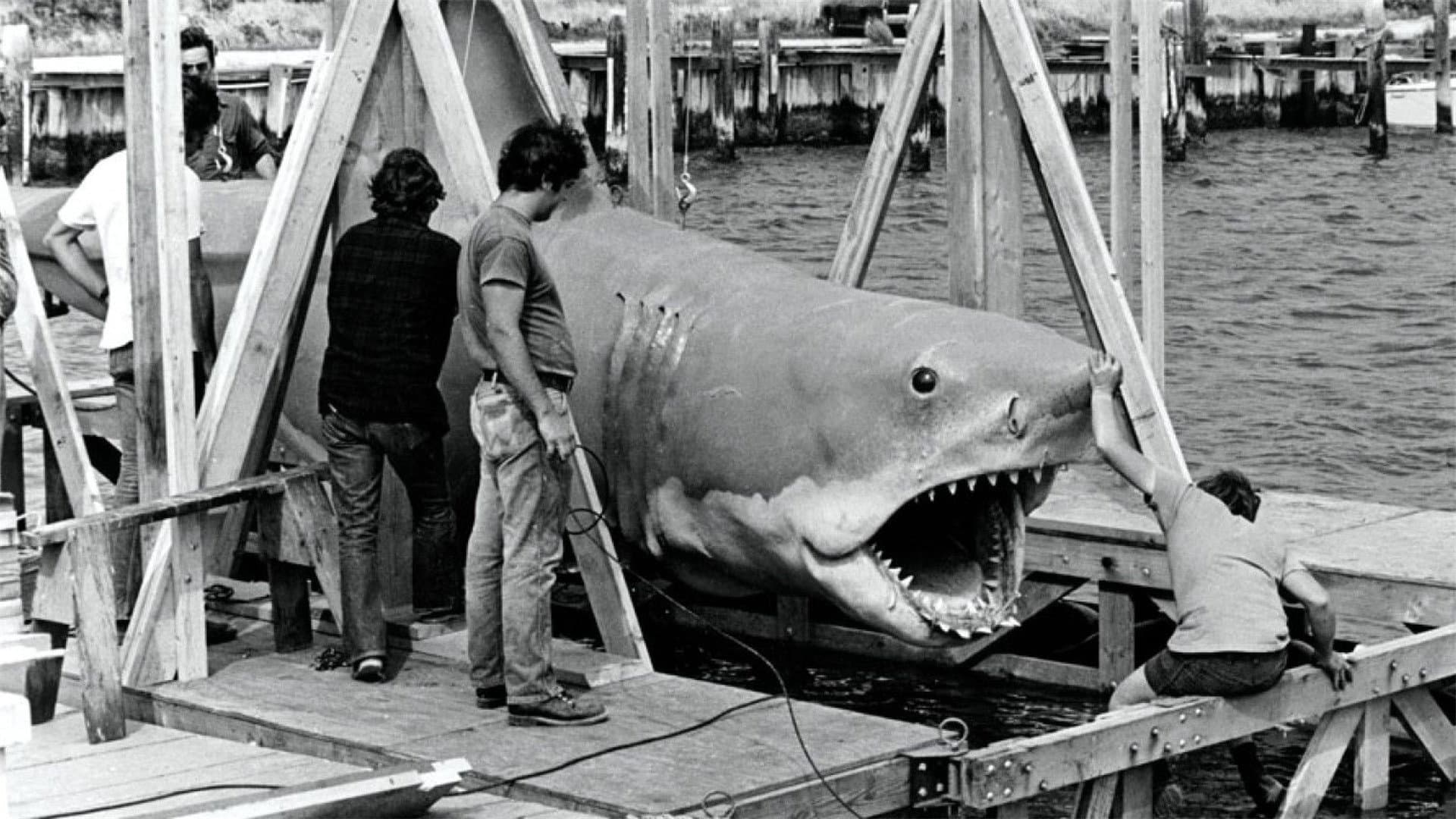 The Shark Is Still Working - immagine