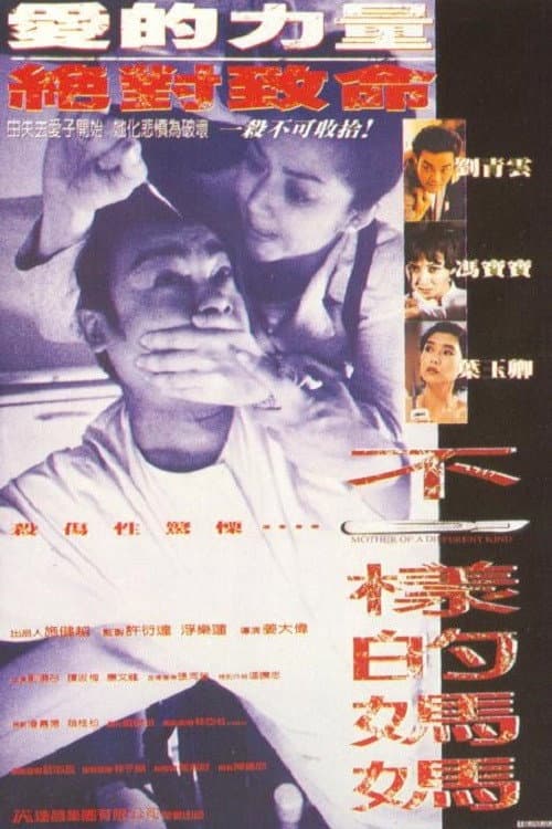 Poster di 不一樣的媽媽