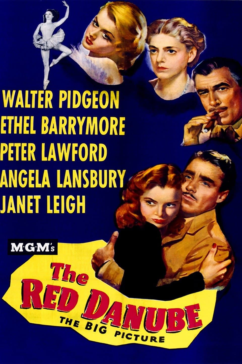 Poster di Il Danubio rosso