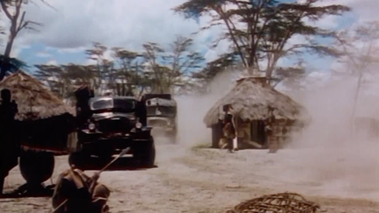 Jungle Safari - immagine