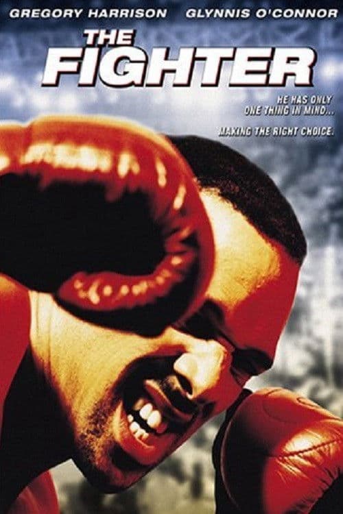 Poster di The Fighter