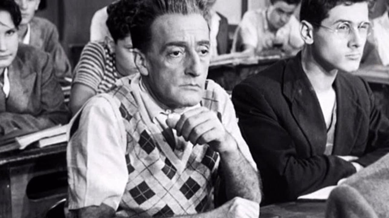 Totò cerca casa - immagine