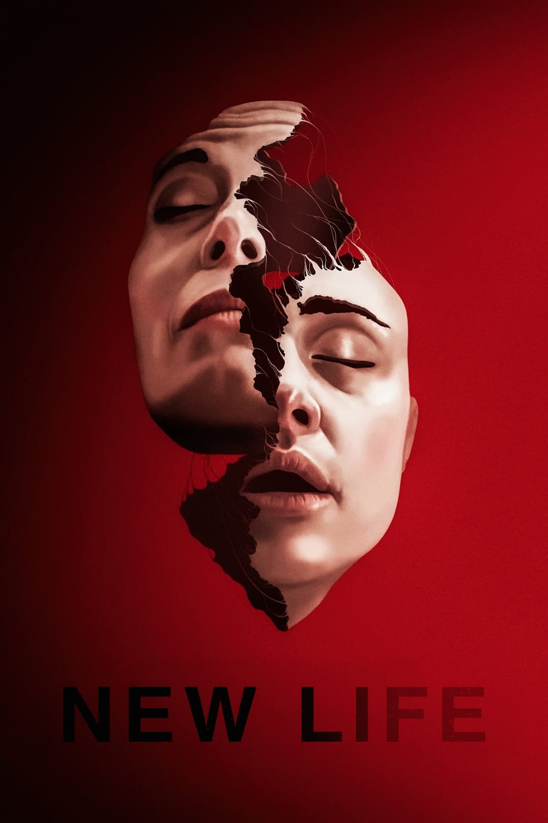 Poster di New Life
