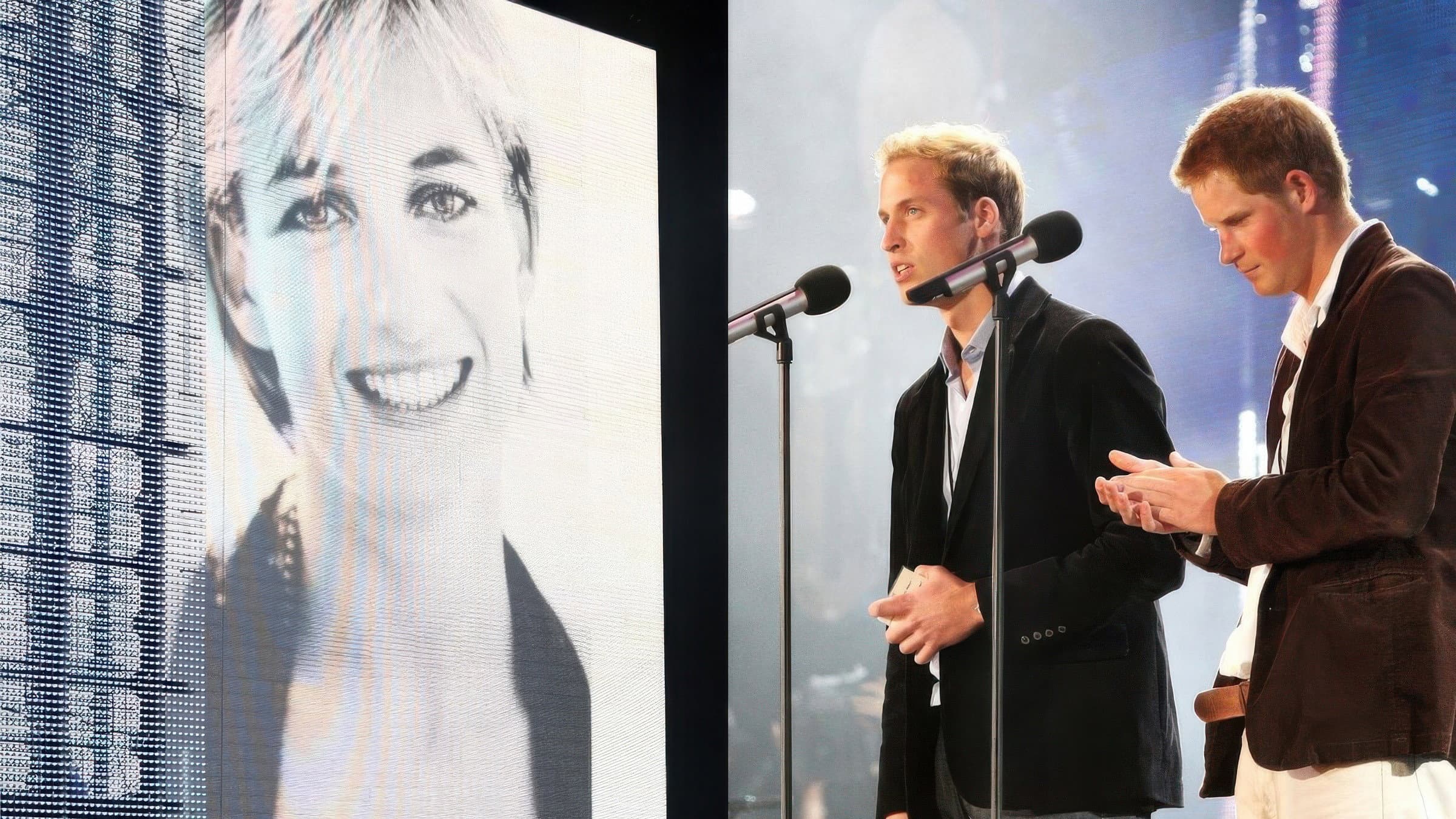 Concert for Diana - immagine
