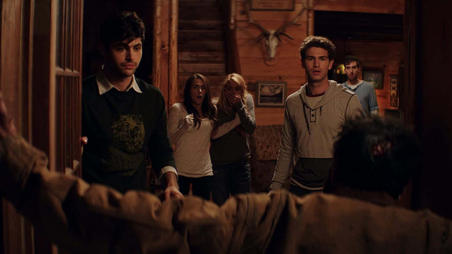 Cabin Fever - immagine
