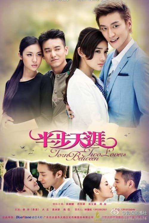 Poster di 半步天涯
