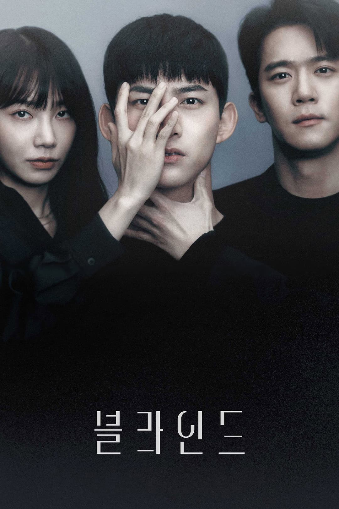 Poster di Blind