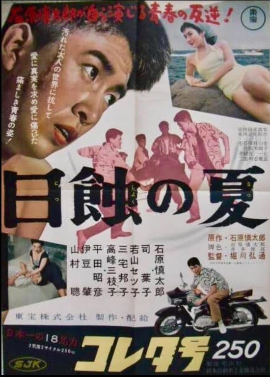 Poster di 日蝕の夏