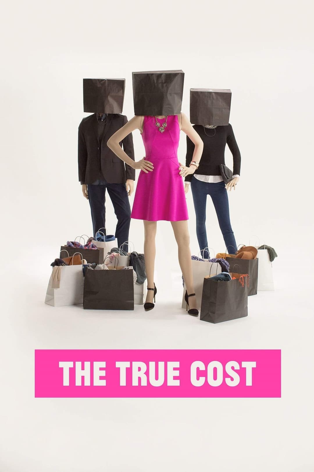 Poster di The True Cost