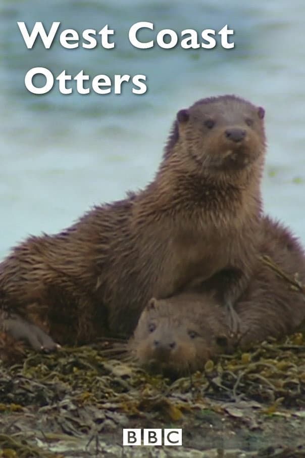 Poster di West Coast Otters