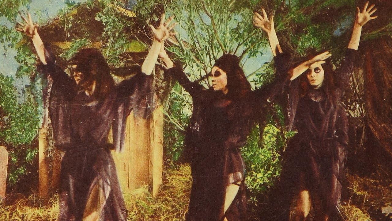 La sopravvissuta - immagine