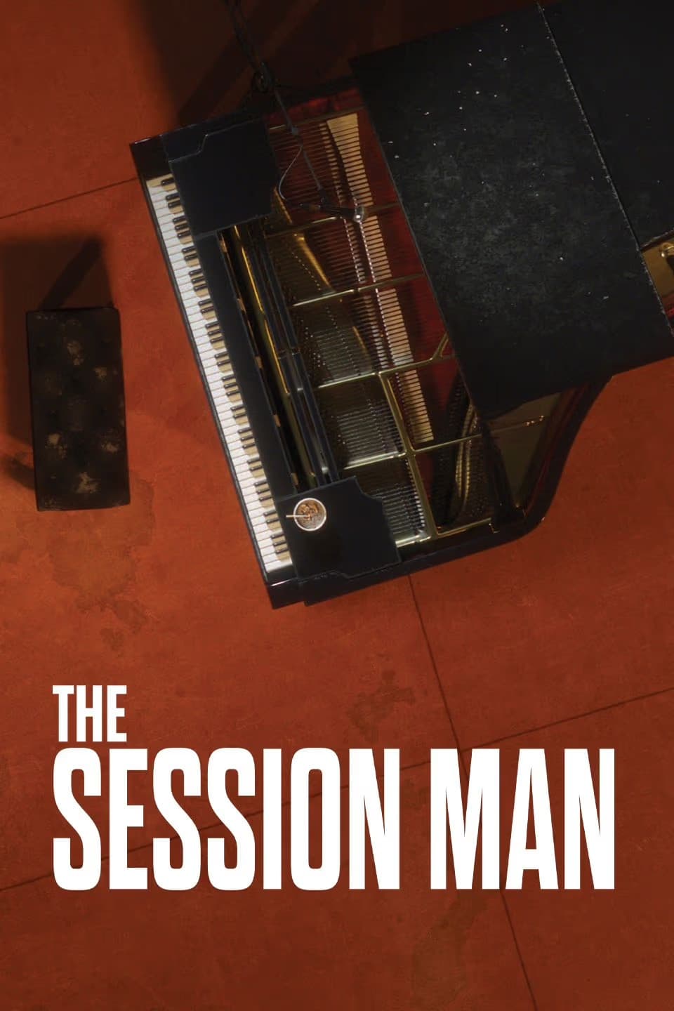 Poster di The Session Man