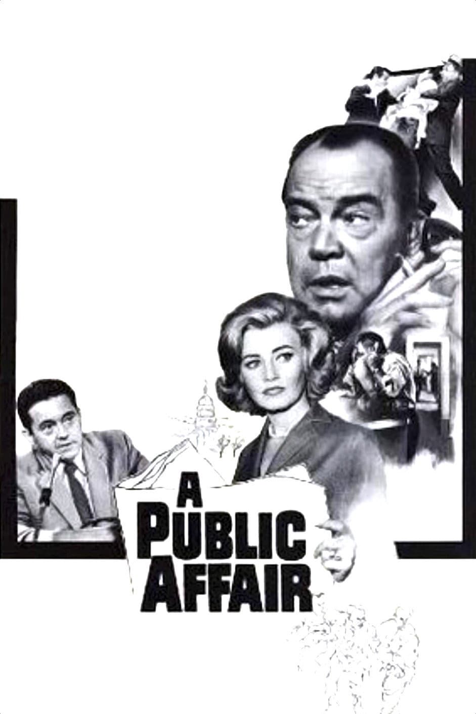 Poster di A Public Affair