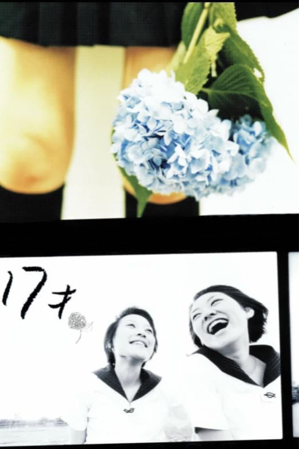 Poster di 17才